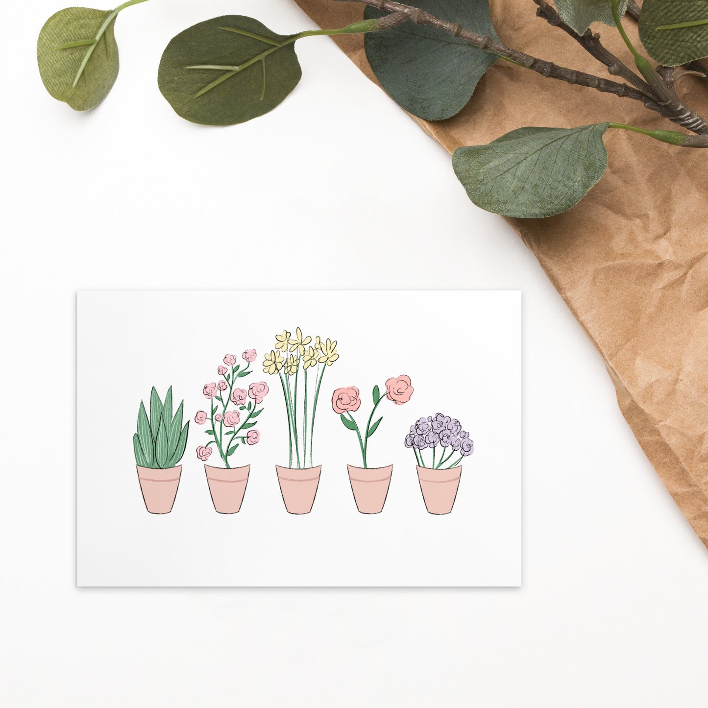 Flower Pots Postcard